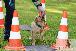 Welpen  24.05.2025 30